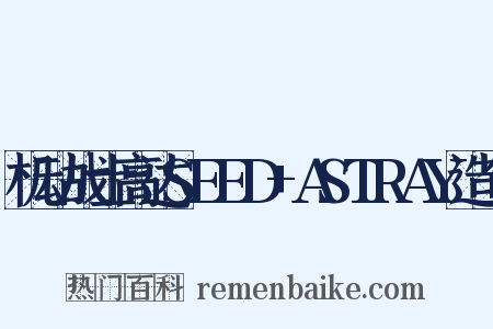 机动战士高达SEED+ASTRAY造句是什么意思的图片